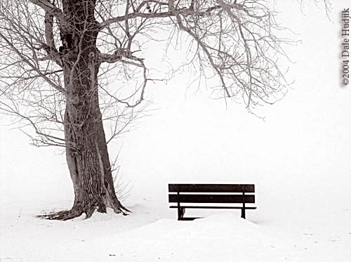 Empty Bench in the Snow