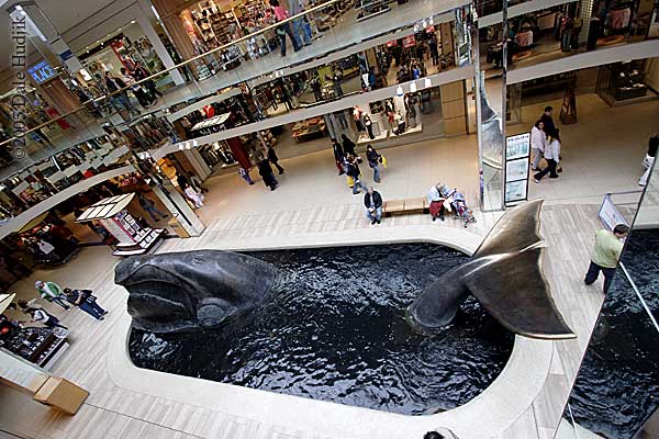 Water Park at West Edmonton Mall