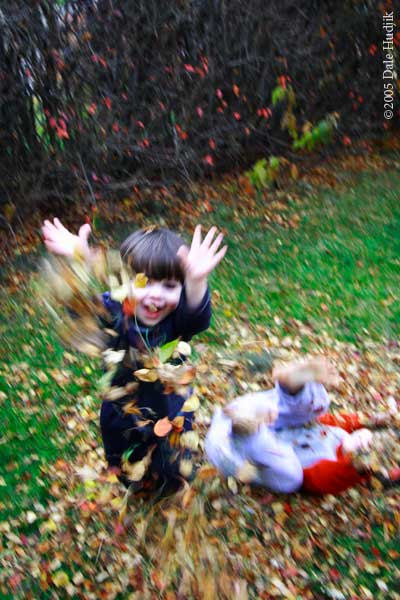 Pure Joy; Fun with Leaves