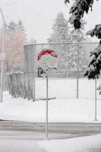Stop Sign Covered In Snow