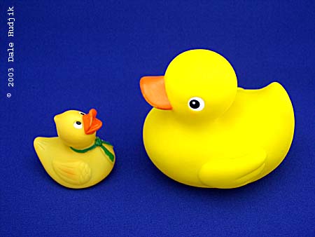 04 New (Ducks)