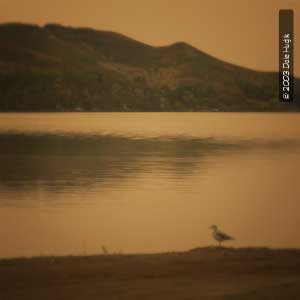 Prairie Photograph