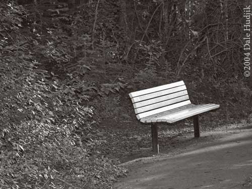 Park Bench