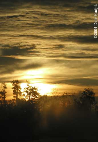 Morning clouds