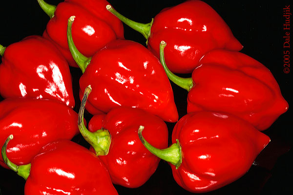 Habanero Peppers