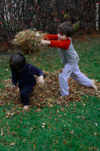 Boys with Autumn Leaves