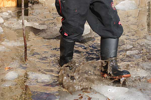 Splashing in Puddle