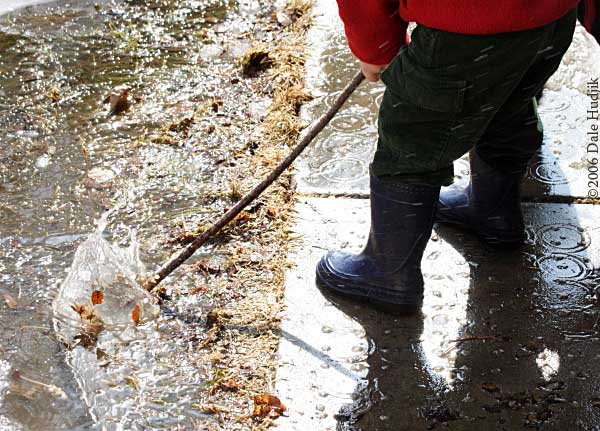 Splashing in Puddle