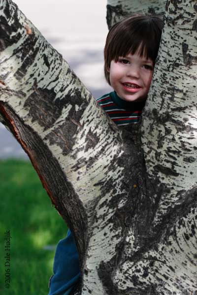 Boys Climbing Trees