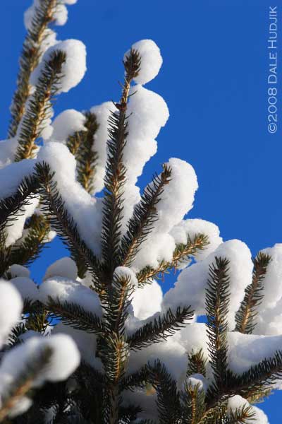 snowy photos