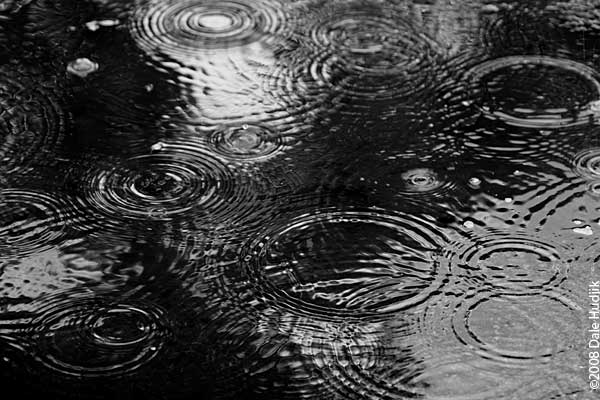 Rain in Puddle