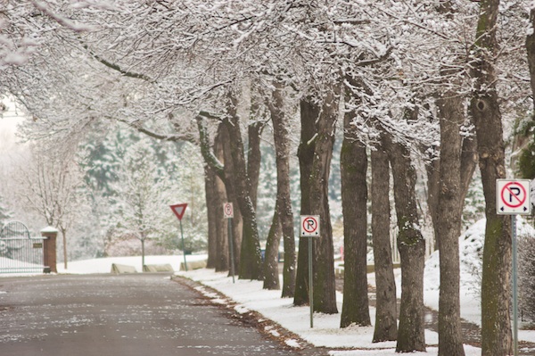 Snowy Street