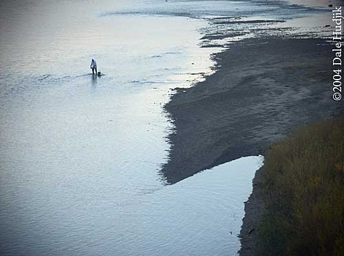 panning for gold