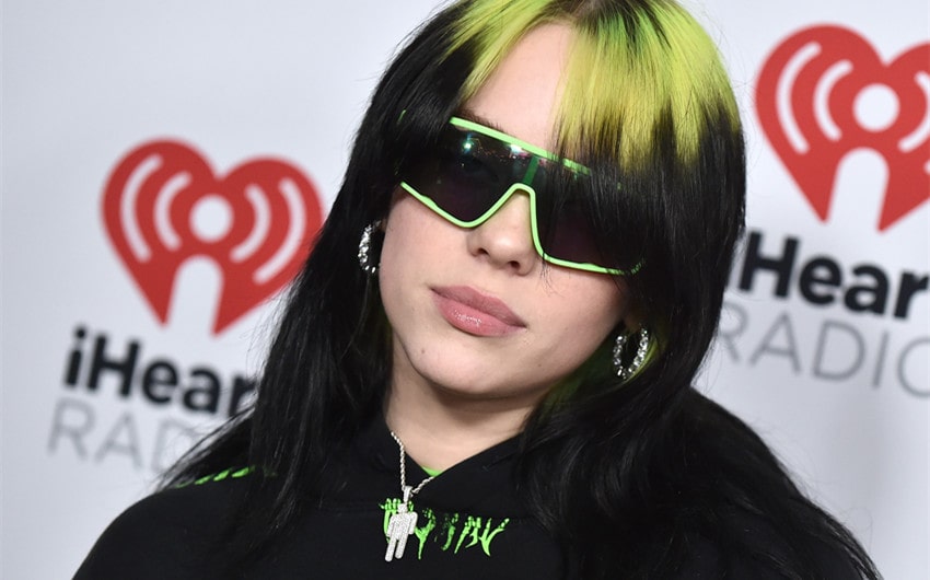 billie eilish parents net worth